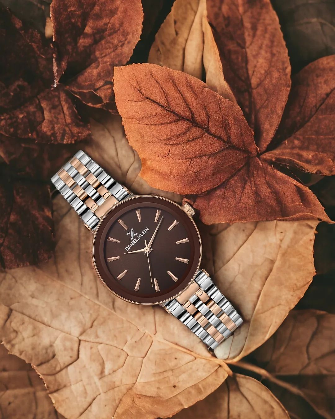 Daniel Klein Brown Dial Premium Women Analogue Watch