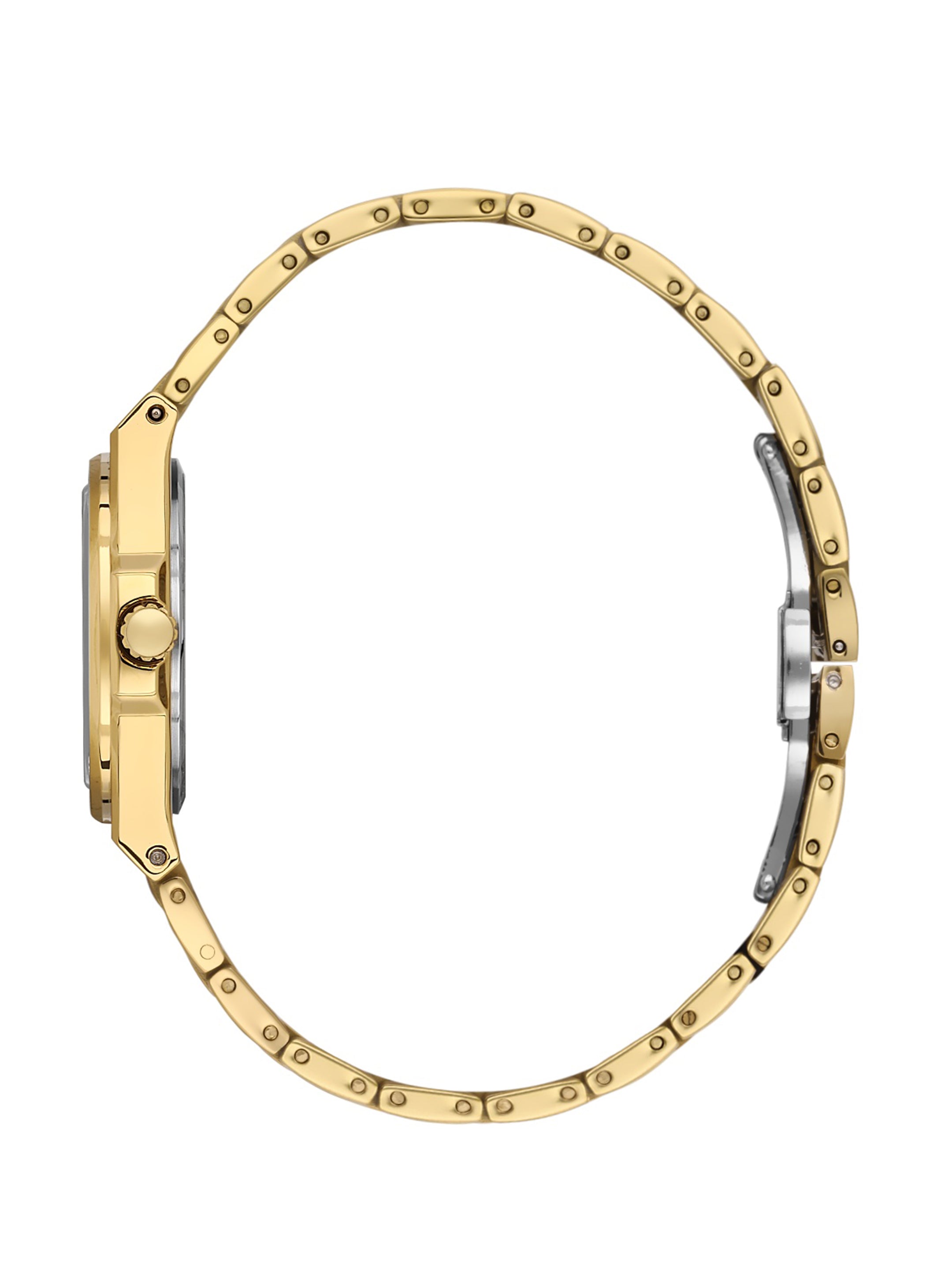 Daniel Klein premium lady Women Dial & Stainless Steel Straps Analogue Watch DK.1.13947-3