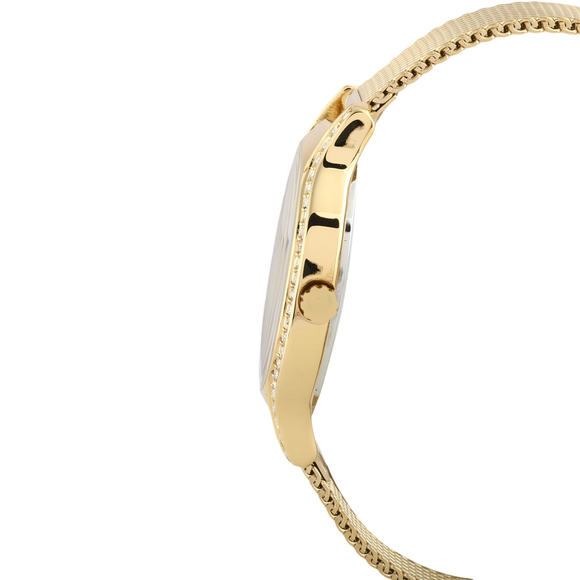 Daniel Klein Premium Women Silver Watch