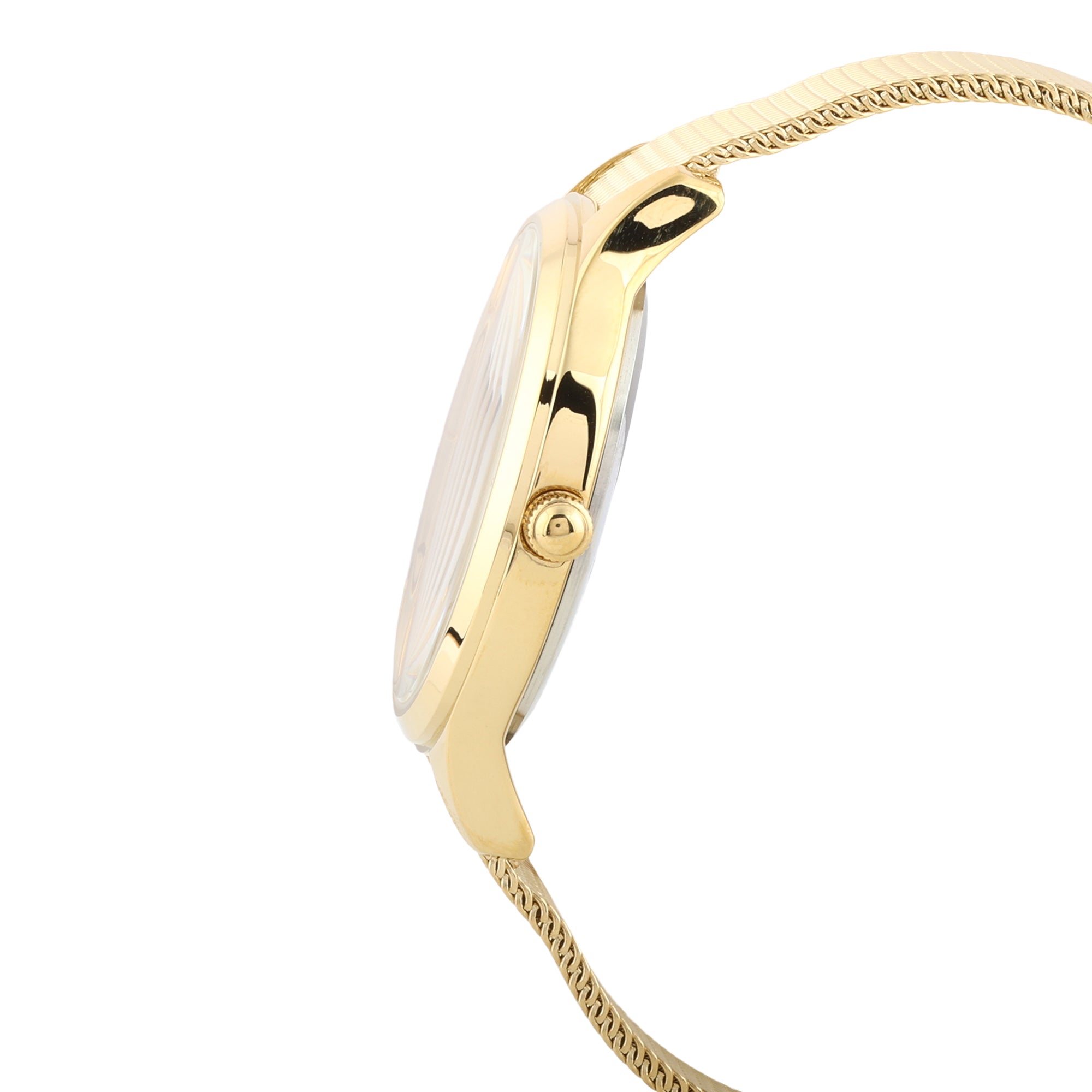 Daniel Klein Fiord Women Silver Watch