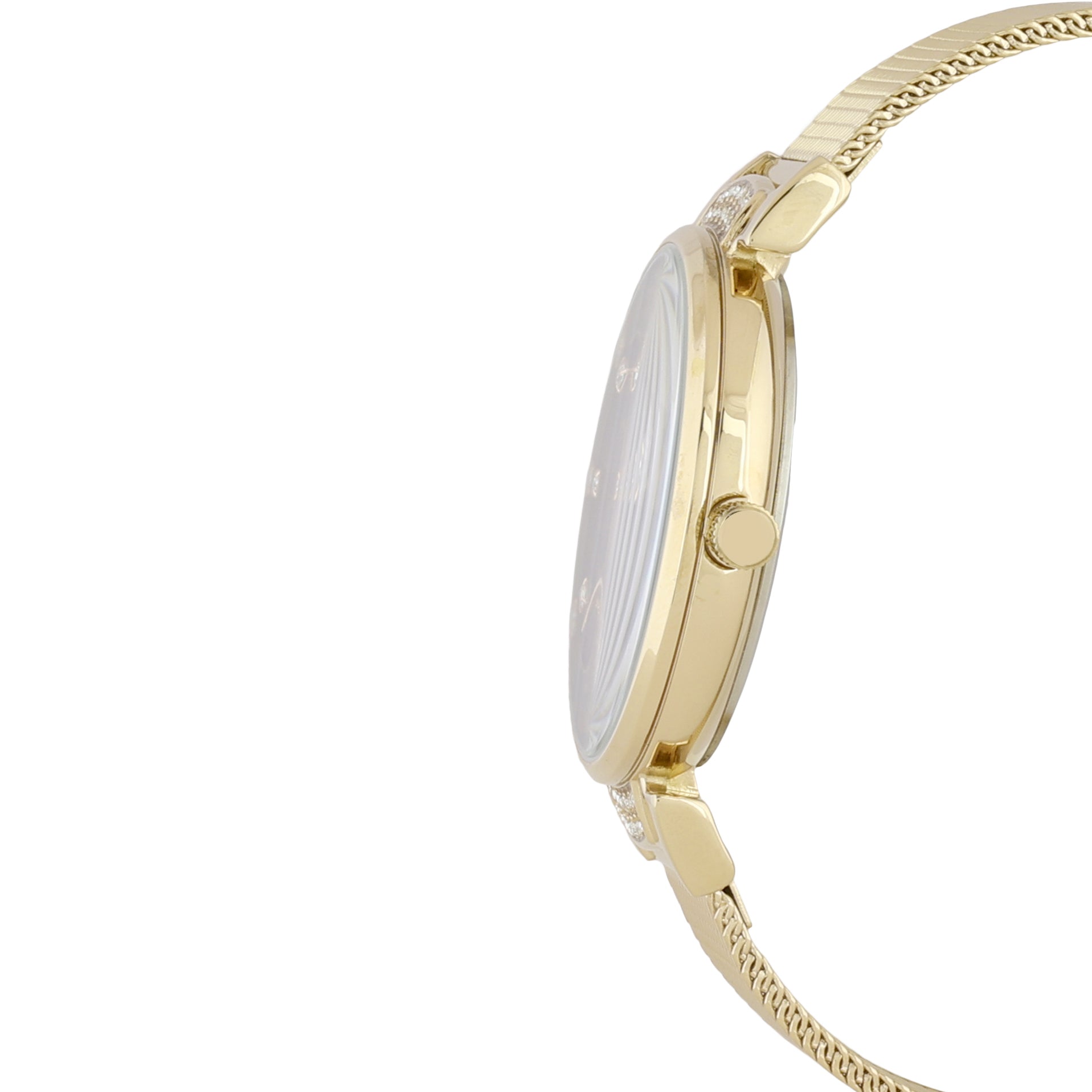 Silver Dial Elite Collection Women&