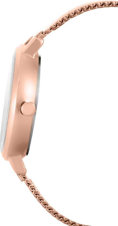 Daniel Klein Premium Women Silver Dial Watch