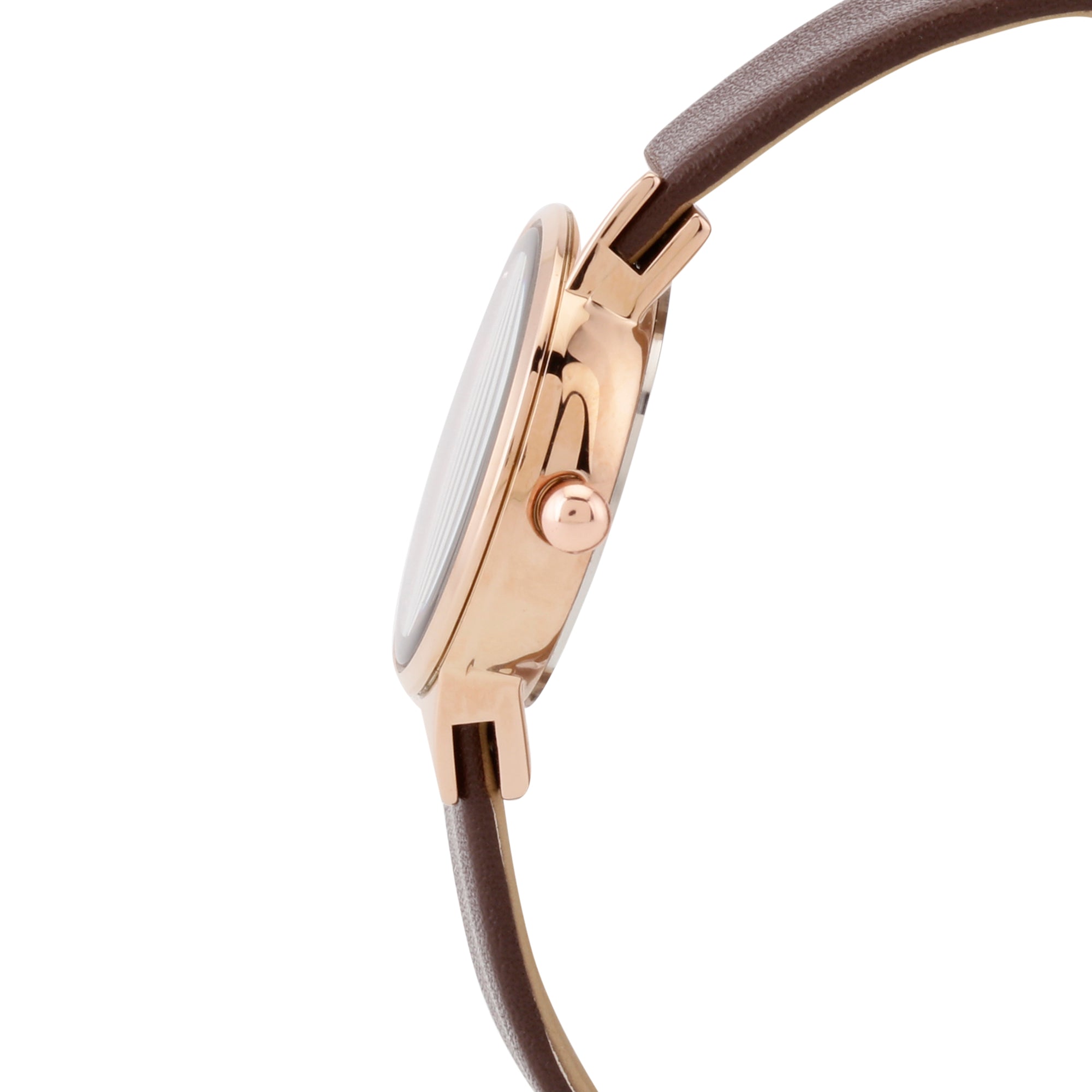 Daniel Klein Premium Women Brown Dial Watch
