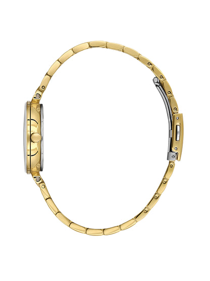 Daniel Klein Analog Dark Green Round Dial Gold Case Gold Strap Quartz Water-Resistant Wrist Watch for Women Girls, Ladies DK.1.14175-4