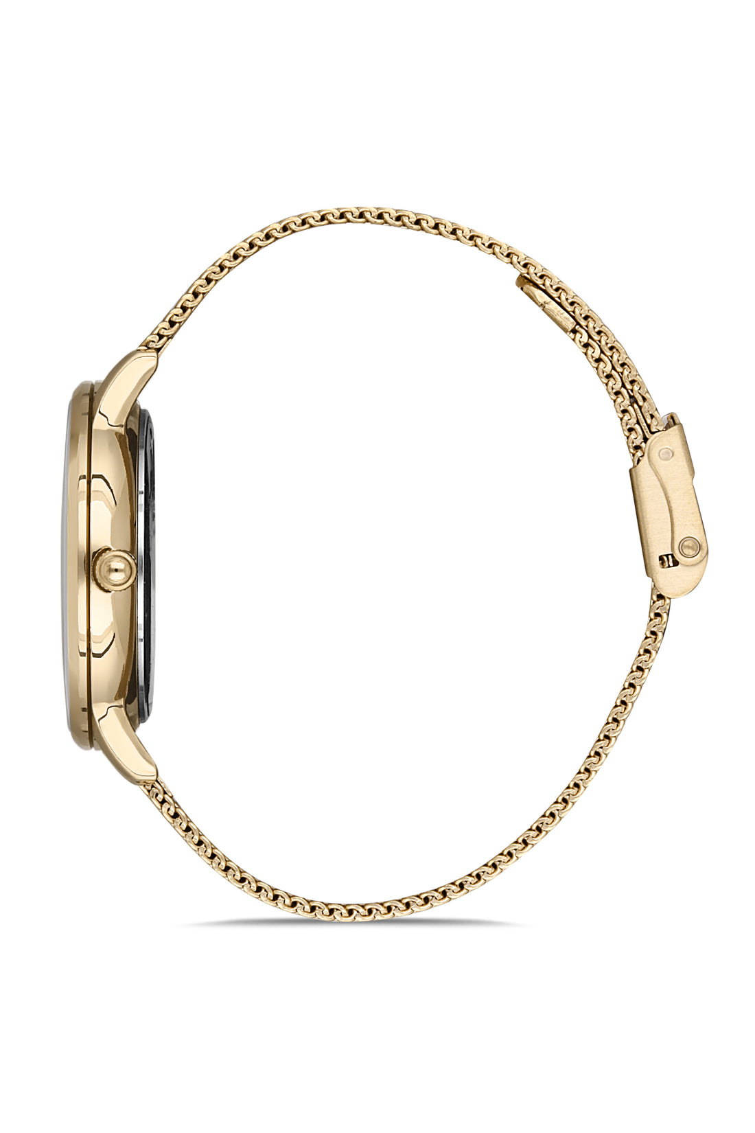 Gold Dial Elite Collection Women&