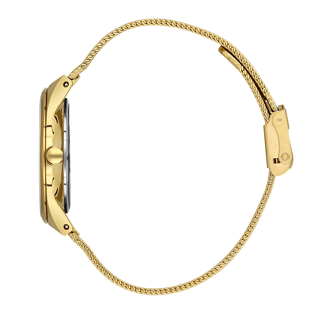 Daniel Klein Silver Dial Women&