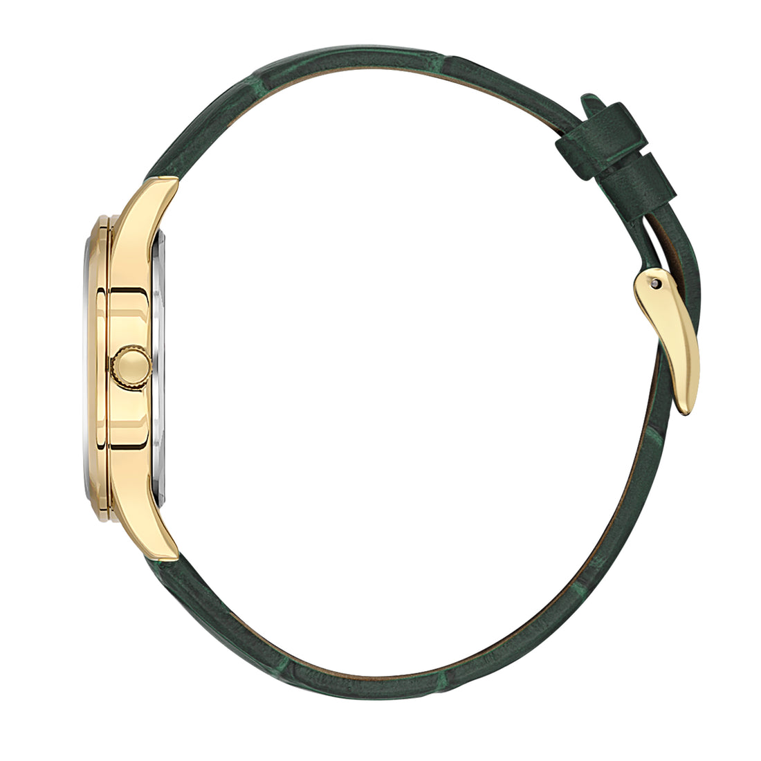 Daniel Klein Green Dial Premium Women Analogue Watch