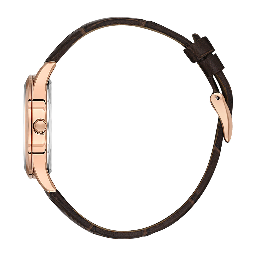 Daniel Klein Brown Dial Premium Women Analogue Watch