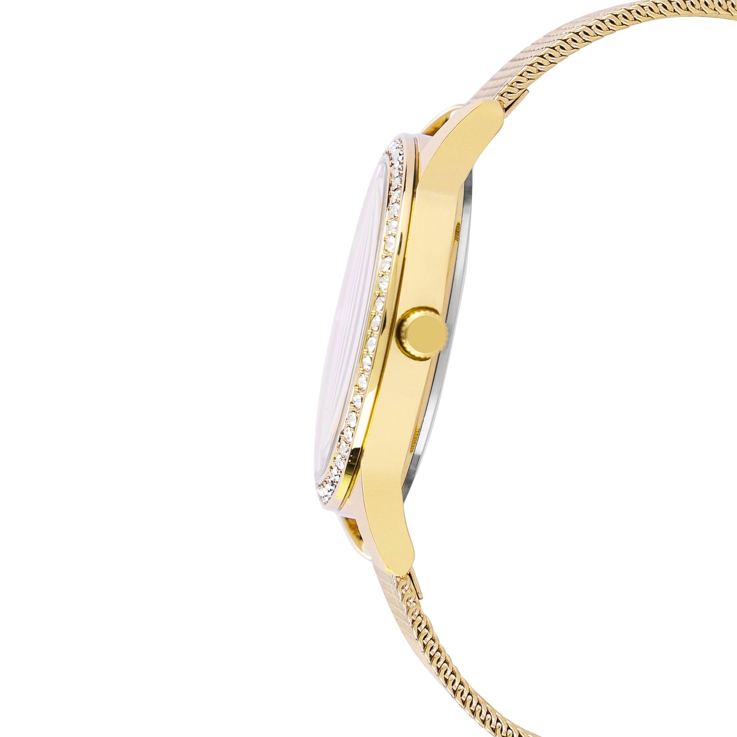 Daniel Klein Black Dial Premium Women Analogue Watch