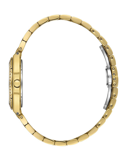 Daniel Klein Women Dial &amp; Stainless Steel Straps Analogue Watch DK.1.13949-3