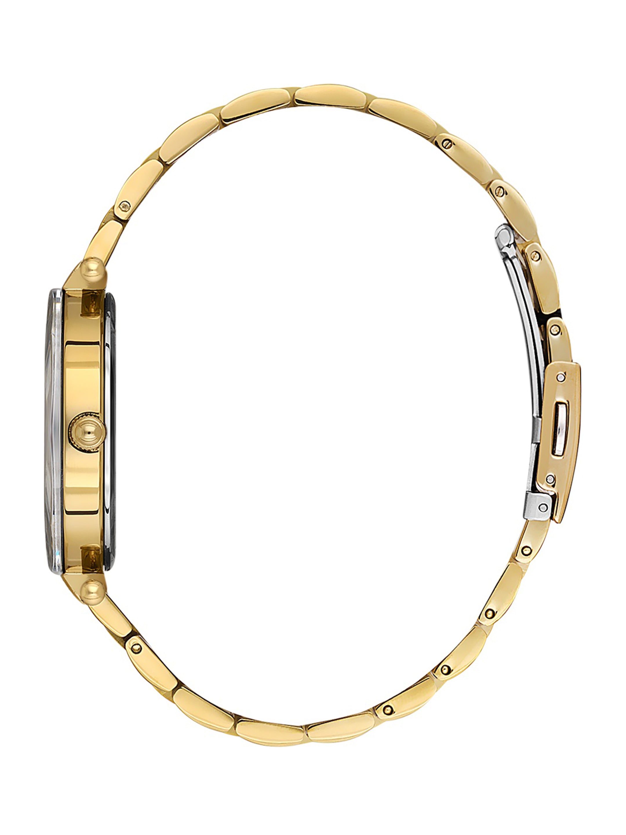 Daniel Klein Women Dial &amp; Stainless Steel Bracelet Style Straps Analogue Watch