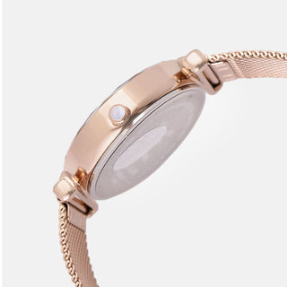 Daniel Klein Premium Women Pink Rose Gold Dial Watch