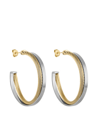 Daniel Klein Silver Color Earring For  Women