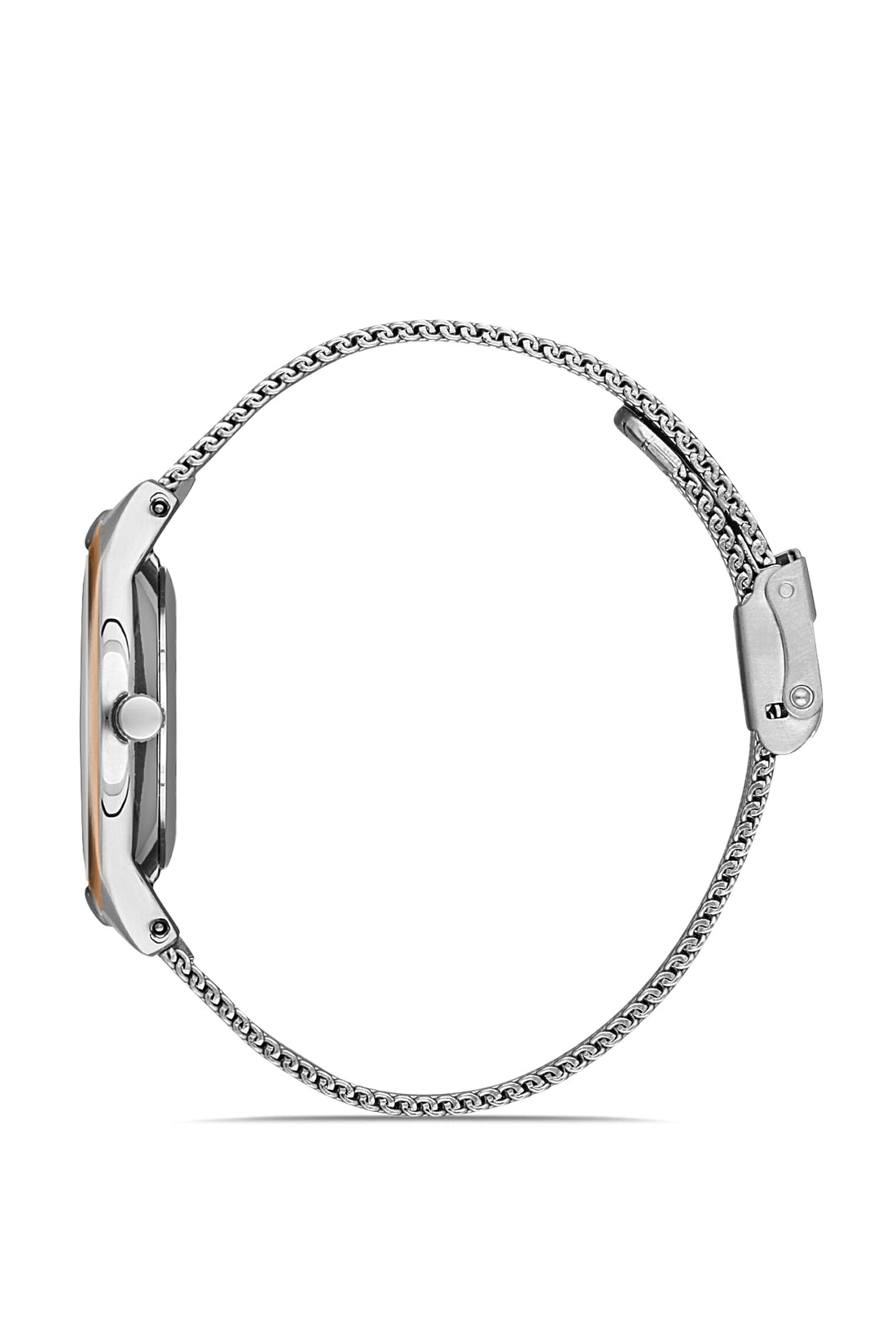 Daniel Klein Fiord Women Silver Dial Watch