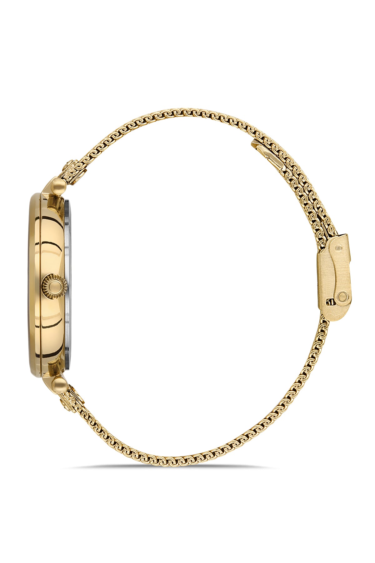 Daniel Klein Premium Women Silver Watch