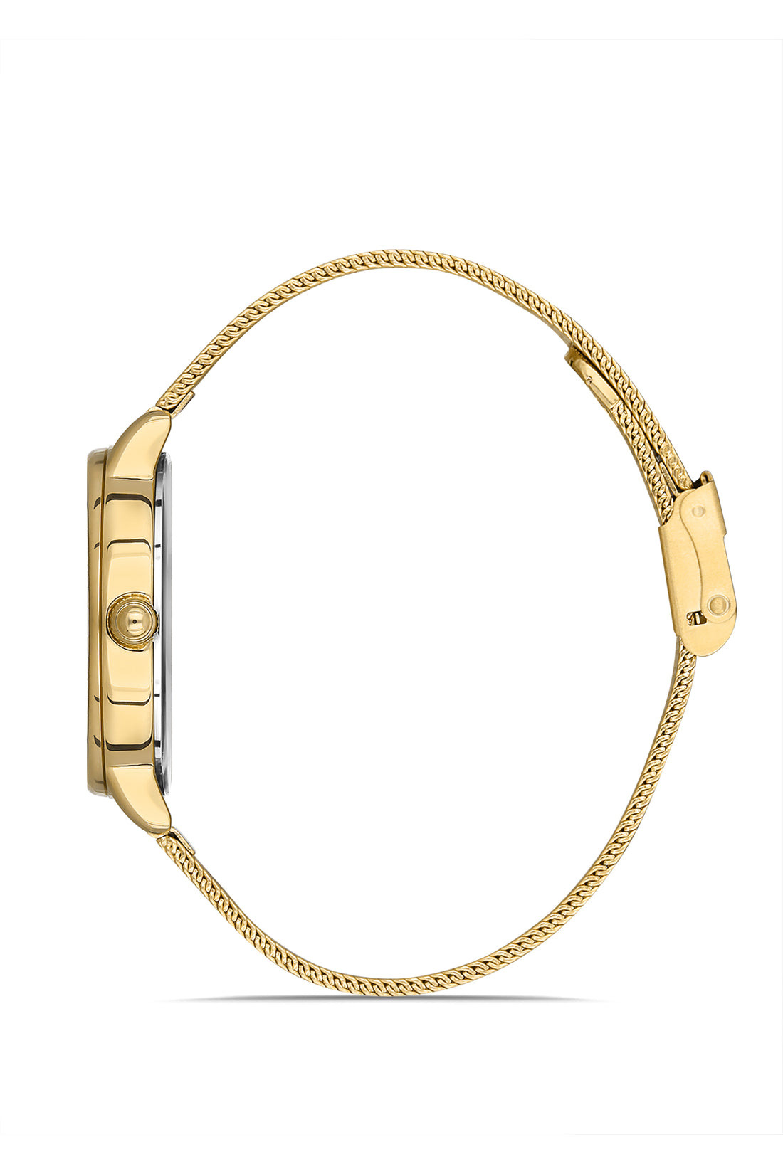 Daniel Klein Fiord Women Silver Watch