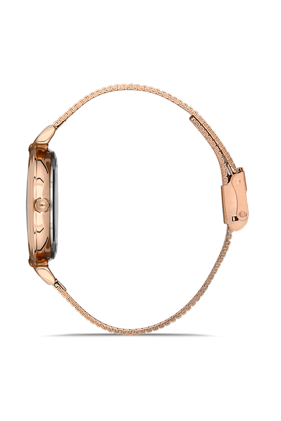 Silver Dial Elite Collection Women&