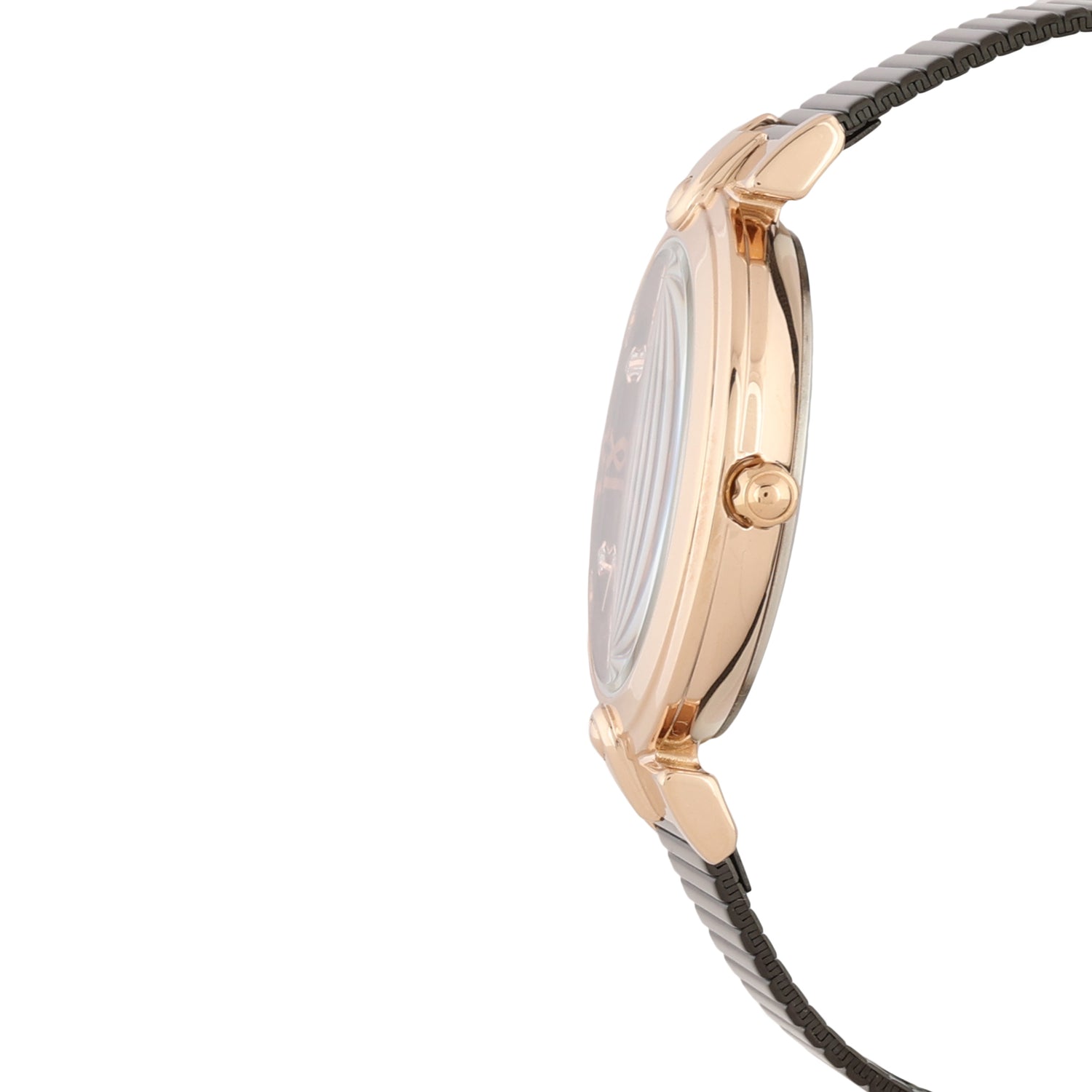 Gun Black Dial Elite Collection Women&