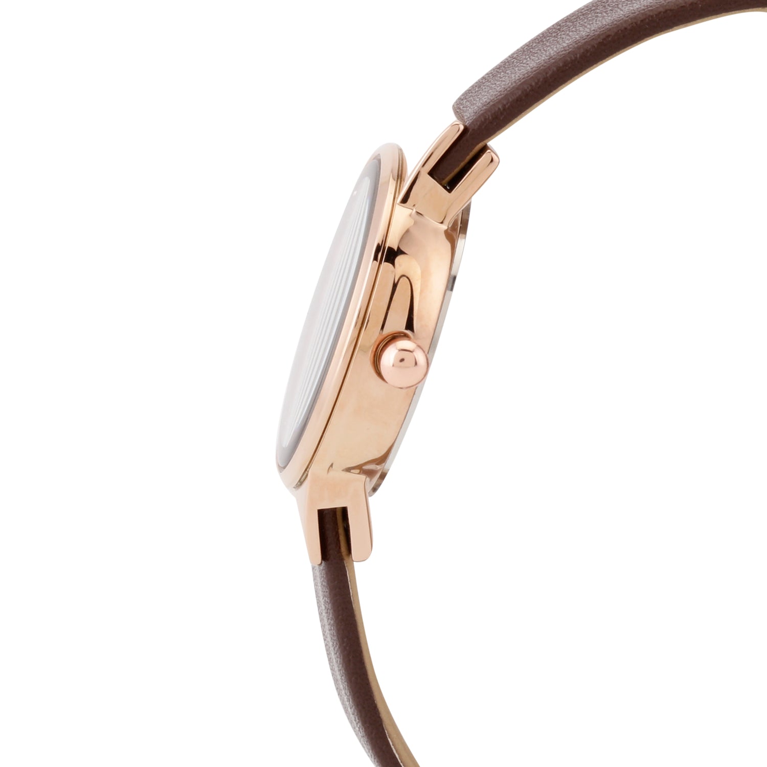 Daniel Klein Premium Women Brown Dial Watch