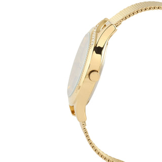 Daniel Klein Premium Women Gold Dial Watch