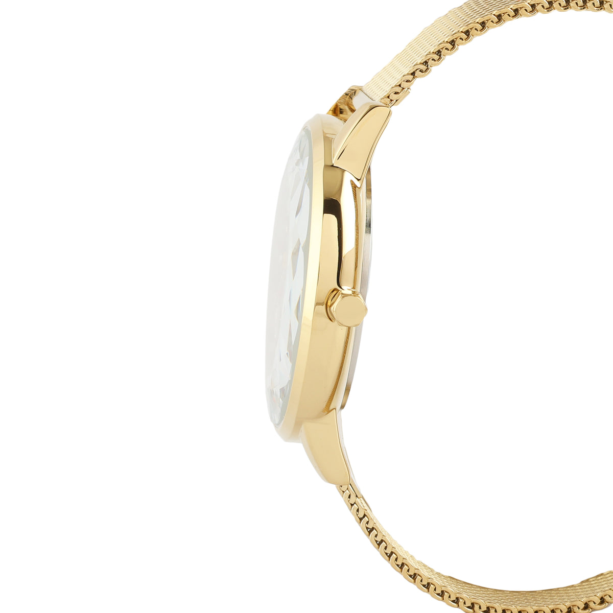 Daniel Klein Premium Women Silver Dial Watch